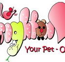 Brighton Veterinary Surgery - Gold Coast Vets
