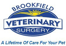 Fig Tree Pocket QLD Gold Coast Vets
