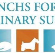 Frenchs Forest Veterinary Surgery - Gold Coast Vets