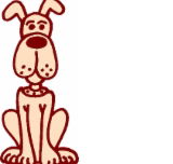 All Creatures Veterinary Hospital - Gold Coast Vets
