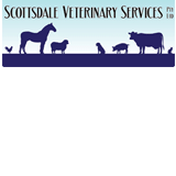Scottsdale Veterinary Services Pty Ltd - Gold Coast Vets