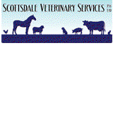 Book Scottsdale Accommodation Vacations Gold Coast Vets Gold Coast Vets