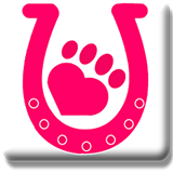 North West Animal Hospital  Clinic - Gold Coast Vets