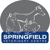 Springfield Veterinary Centre - Gold Coast Vets 0