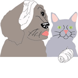 Eastern Shore Veterinary Hospital - Gold Coast Vets