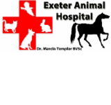 Exeter Animal Hospital - Gold Coast Vets