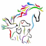 Belinda's Natural Animal Therapies - Mobile Clinic - Gold Coast Vets 0