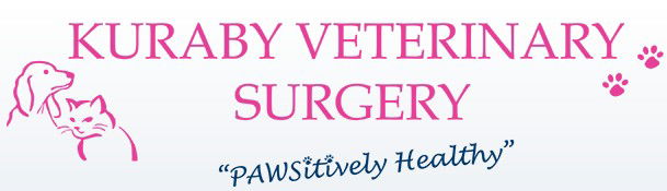  Gold Coast Vets