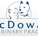 McDowall Veterinary Practice - Gold Coast Vets