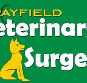 Morayfield Veterinary Surgery - Gold Coast Vets