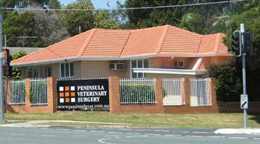 Peninsula Veterinary Surgery - Gold Coast Vets 0