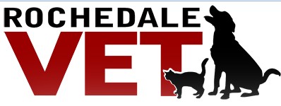 Rochedale Veterinary Surgery - Gold Coast Vets 0