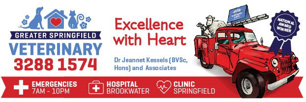 Springfield QLD Gold Coast Vets