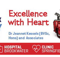 Greater Springfield Veterinary - Gold Coast Vets
