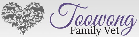 Toowong Family Vet - Gold Coast Vets 0