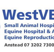 Westvets Animal Hospitals - Gold Coast Vets
