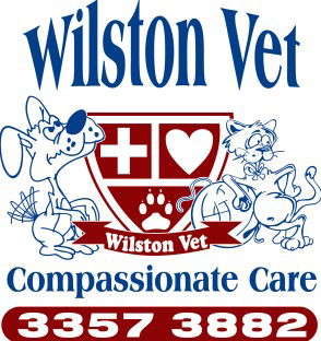 Wilston Vet - Gold Coast Vets 0