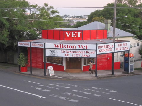 Wilston Vet - Gold Coast Vets 1