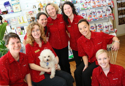 Wilston Vet - Gold Coast Vets 2