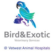 Bird  Exotic Veterinary Services - Perth - Gold Coast Vets