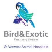Bird & Exotic Veterinary Services - Perth - Gold Coast Vets 0