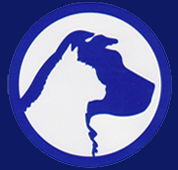 Carrum Downs Veterinary Clinic - Gold Coast Vets