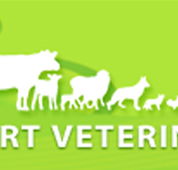 Westernport Veterinary Clinics - Gold Coast Vets