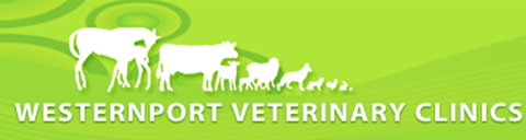 Westernport Veterinary Clinics - Gold Coast Vets 0