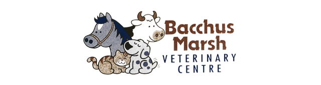 Macedon VIC Gold Coast Vets