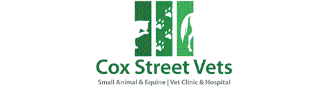 Cox Street Vets - Gold Coast Vets 0