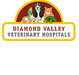 Montmorency Veterinary Hospital - Gold Coast Vets
