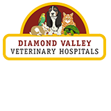 Eltham Central Veterinary Hospital - Gold Coast Vets 0