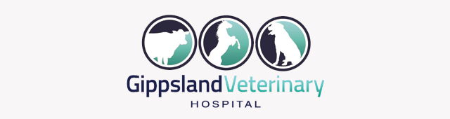  Gold Coast Vets
