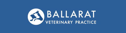 Ballarat Veterinary Practice - Gold Coast Vets 0