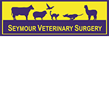 Kerrisdale VIC Gold Coast Vets