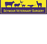 Seymour Veterinary Surgery - Gold Coast Vets