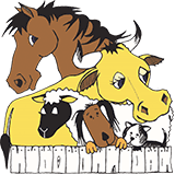 Stawell VIC Gold Coast Vets