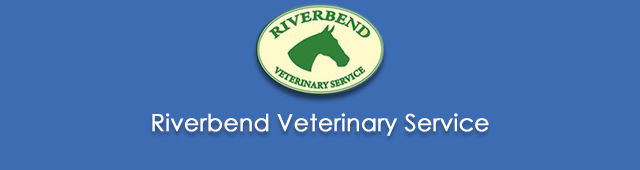 Kamarah NSW Gold Coast Vets