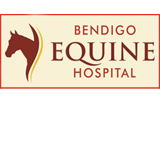 Bendigo Equine Hospital - Gold Coast Vets