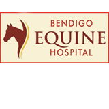Bendigo Equine Hospital - Gold Coast Vets 0