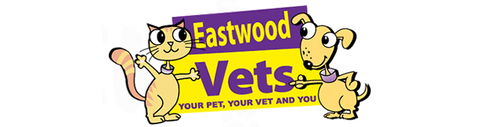Eastwood Vets - Gold Coast Vets 0