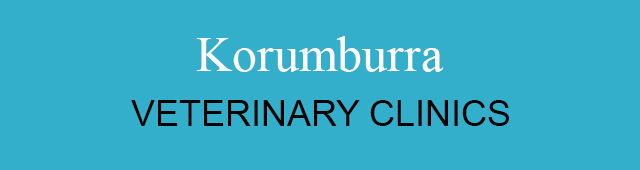 Korumburra South VIC Gold Coast Vets