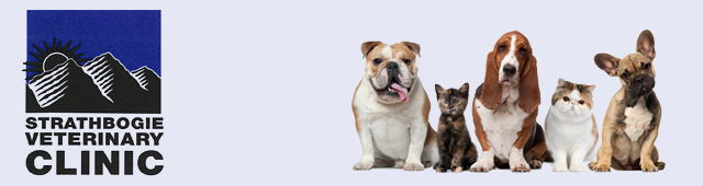 Tarcombe VIC Gold Coast Vets