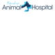 Bendigo Animal Hospital - Gold Coast Vets 0