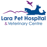  Gold Coast Vets