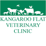 Kangaroo Flat Veterinary Clinic - Gold Coast Vets 0