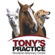 Tony's Practice Woodend - Gold Coast Vets