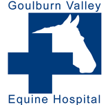Goulburn Valley Equine Hospital - Gold Coast Vets