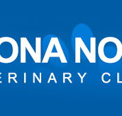 Pet Vet Animal Hospital Altona North - Gold Coast Vets