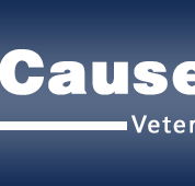 The Causeway Veterinary Clinic - Gold Coast Vets